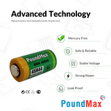 PoundMax 4SR44 Batteries 6.2v Silver Oxide Battery